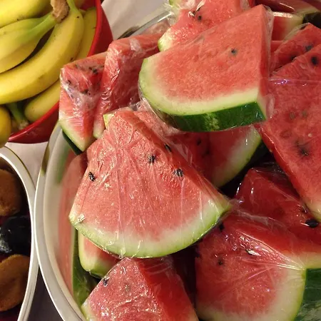 فندق Elena نافبليو