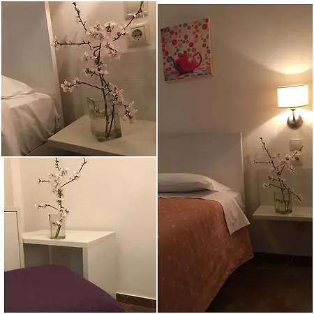 Elena نافبليو